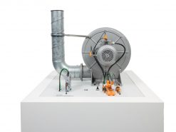 SM0019 (ZF0790) - Fan moneo