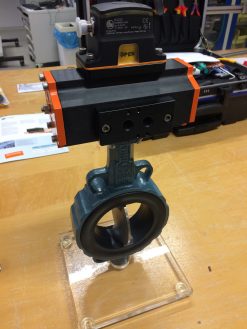 ZF0834 Special Model - MVQ